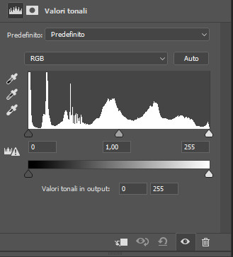 Valori tonali Photoshop 